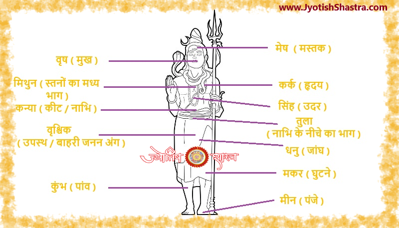 kaal-purush-dwadash-rashi-ang-twelve-zodiacs-lord-shiv-body-jyotishshastra-astrology-hd-image-png