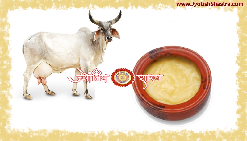 cow-ghee-gaay-gau-butter-ayurveda-jyotishshastra-hd-image-png